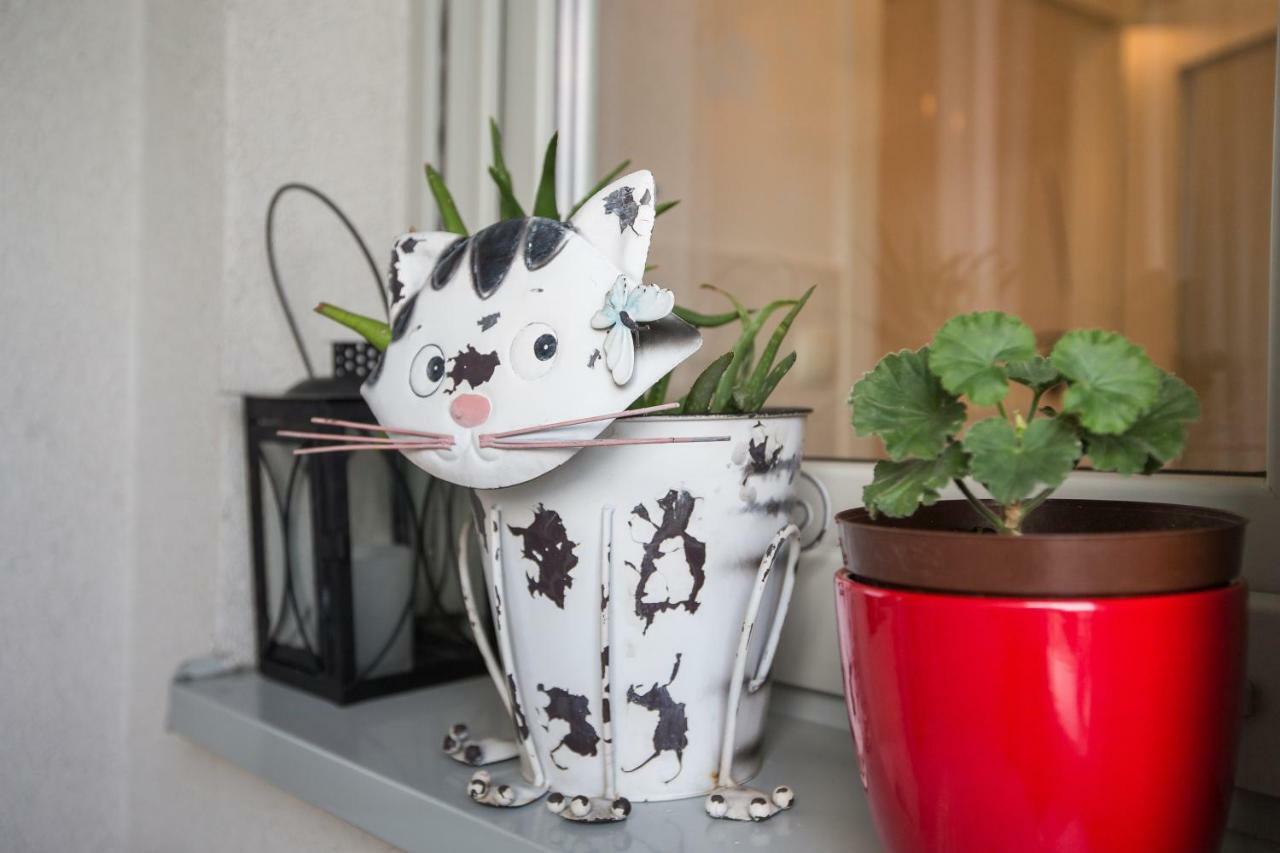 Cozy & Modern Studio With Balcony 萨格勒布 外观 照片